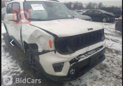 جيب رينيجيد